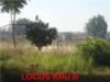 LOCOS KHU D_s.jpg (36kb)
